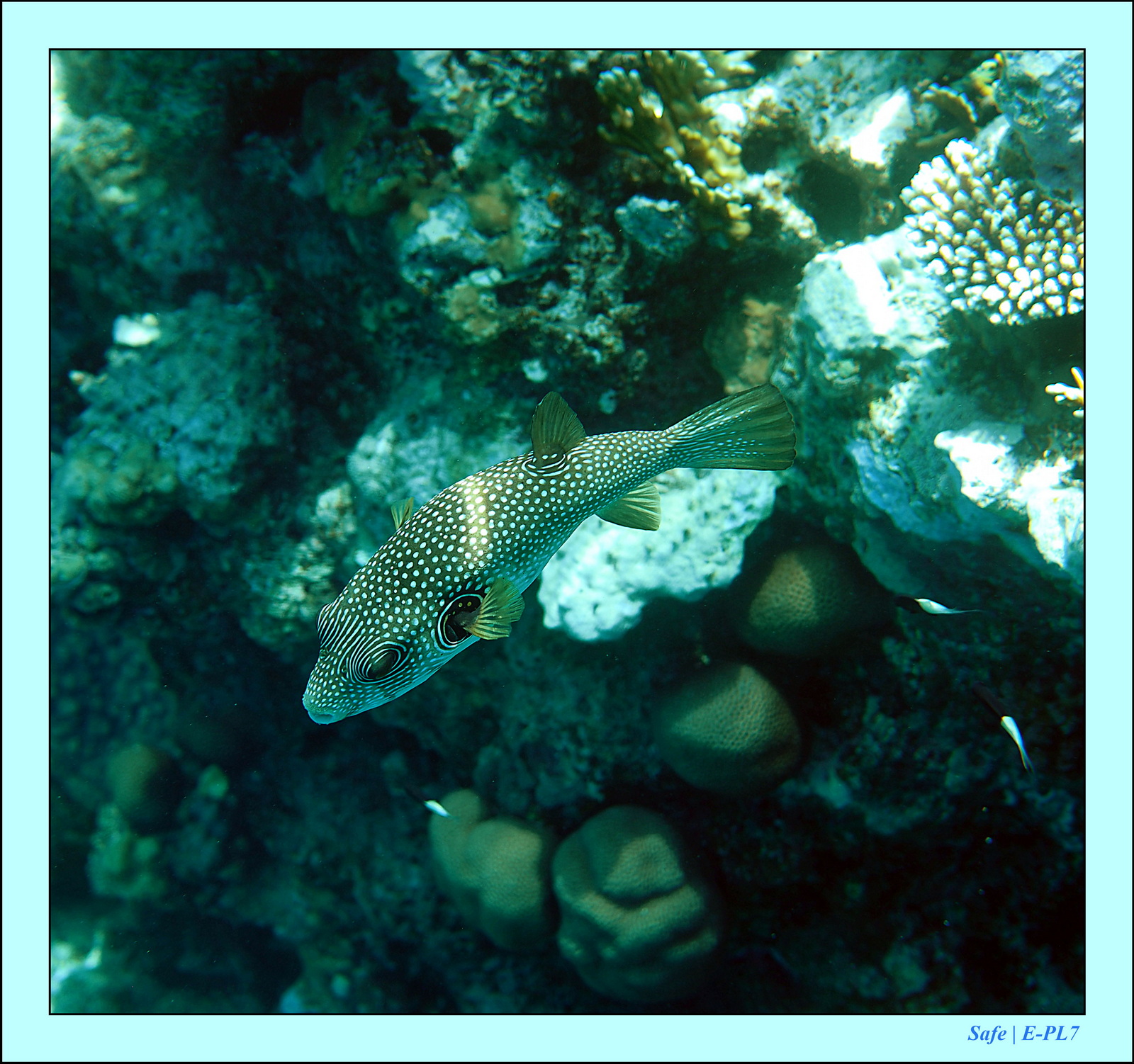 Hurghada - Aout 2021 - 018